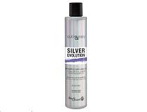 Q&E SILVER EVOLUTION